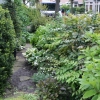 16051114417dsc03449.jpg